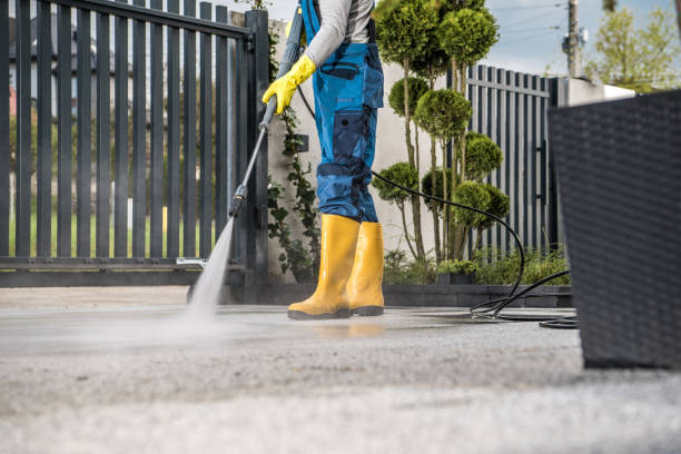 Best Deck Cleaning Services  in Edgewater, CO