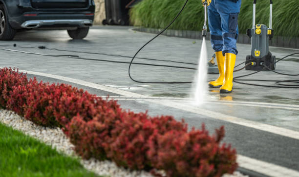 Best Commercial Building Pressure Washing  in Edgewater, CO