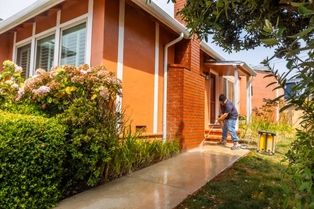 Best Exterior Home Cleaning  in Edgewater, CO